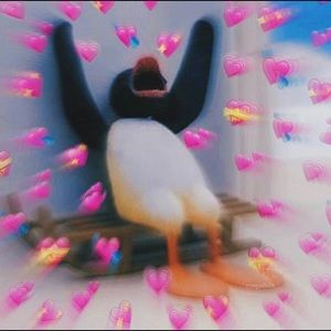 Meet your Posher, Kiara